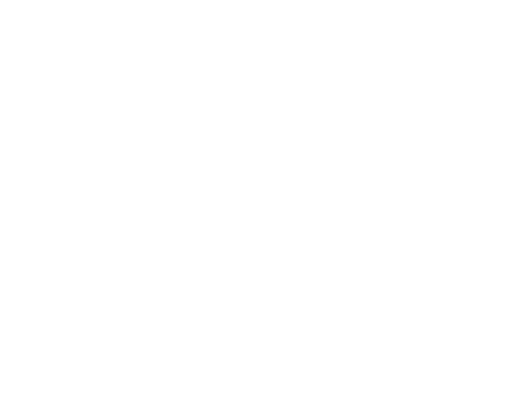 White Stario Logo1