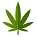 leaf icon
