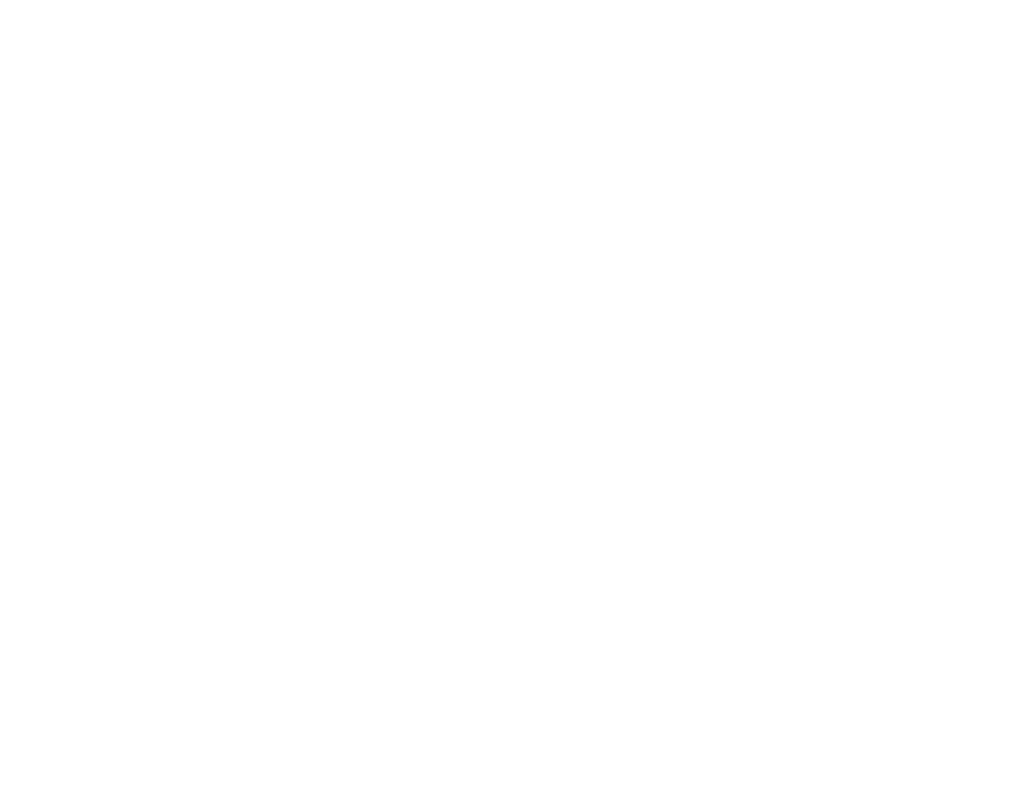 White Stario Logo1